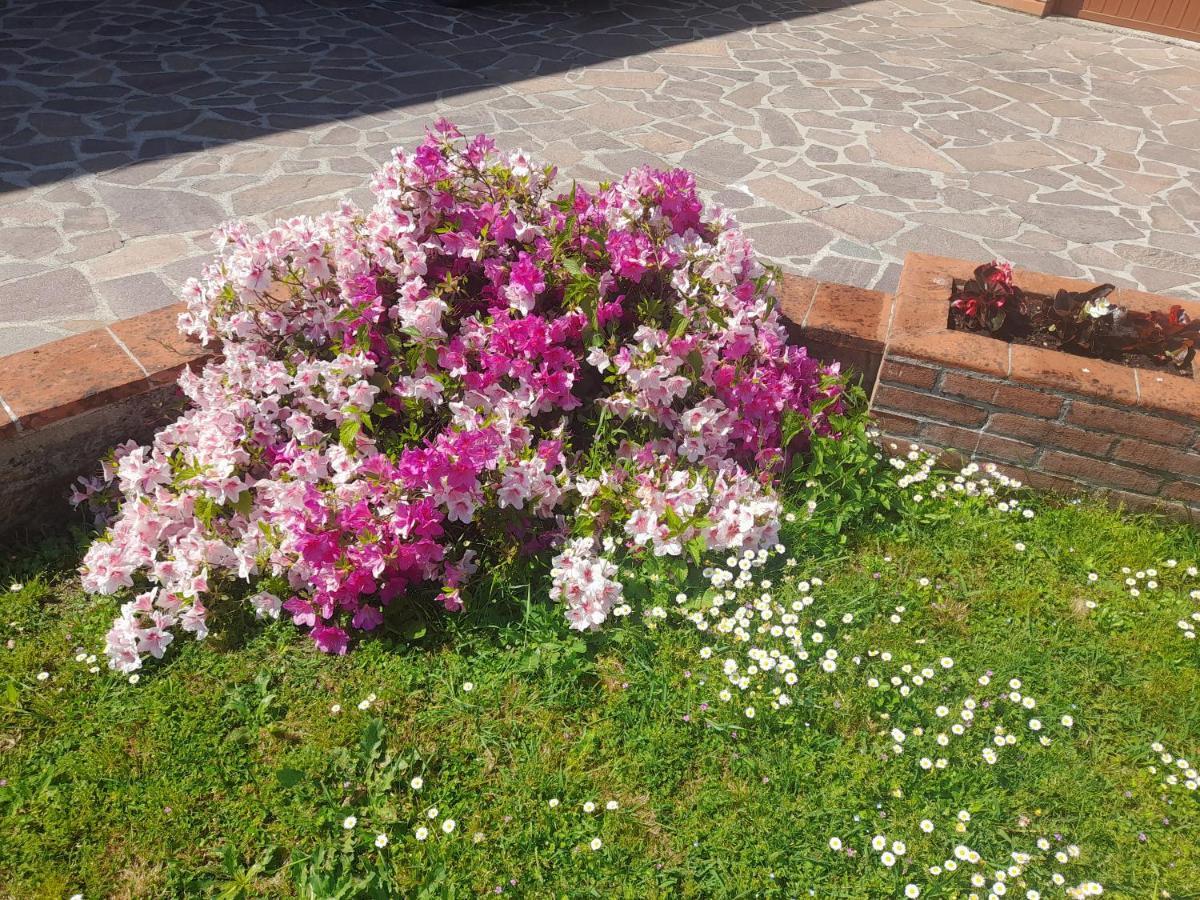 Villa Casa Camelia Capannori Esterno foto
