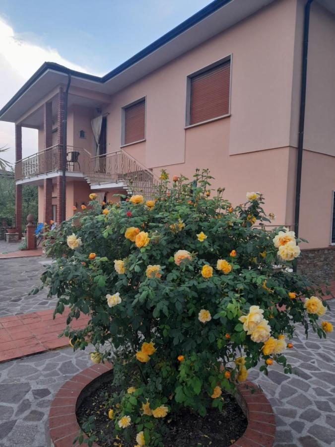 Villa Casa Camelia Capannori Esterno foto